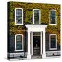 Facade of an English House with Ivy Leaves - Mallinson House in St Albans - London - UK-Philippe Hugonnard-Stretched Canvas