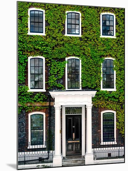 Facade of an English House with Ivy Leaves - Mallinson House in St Albans - London - UK-Philippe Hugonnard-Mounted Photographic Print