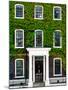 Facade of an English House with Ivy Leaves - Mallinson House in St Albans - London - UK-Philippe Hugonnard-Mounted Photographic Print