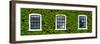 Facade of an English House with Ivy Leaves - Mallinson House in St Albans - London - UK-Philippe Hugonnard-Framed Photographic Print