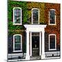 Facade of an English House with Ivy Leaves - Mallinson House in St Albans - London - UK-Philippe Hugonnard-Mounted Photographic Print