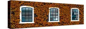 Facade of an English House with Ivy Leaves - Mallinson House in St Albans - London - UK-Philippe Hugonnard-Stretched Canvas