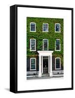 Facade of an English House with Ivy Leaves - Mallinson House in St Albans - London - UK-Philippe Hugonnard-Framed Stretched Canvas