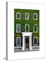 Facade of an English House with Ivy Leaves - Mallinson House in St Albans - London - UK-Philippe Hugonnard-Stretched Canvas