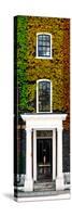 Facade of an English House with Ivy Leaves - Mallinson House in St Albans - UK - Door Poster-Philippe Hugonnard-Stretched Canvas