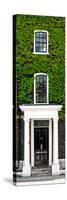 Facade of an English House with Ivy Leaves - Mallinson House in St Albans - UK - Door Poster-Philippe Hugonnard-Stretched Canvas