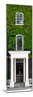 Facade of an English House with Ivy Leaves - Mallinson House in St Albans - UK - Door Poster-Philippe Hugonnard-Mounted Photographic Print