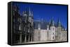 Facade of Rocher Castle-null-Framed Stretched Canvas
