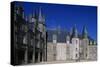 Facade of Rocher Castle-null-Stretched Canvas