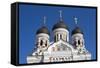 Facade of the Alexander Nevsky Church, Tallinn, Estonia, Europe-Doug Pearson-Framed Stretched Canvas