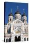 Facade of the Alexander Nevsky Church, Tallinn, Estonia, Europe-Doug Pearson-Stretched Canvas
