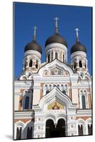 Facade of the Alexander Nevsky Church, Tallinn, Estonia, Europe-Doug Pearson-Mounted Photographic Print