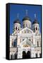 Facade of the Alexander Nevsky Church, Tallinn, Estonia, Europe-Doug Pearson-Framed Stretched Canvas