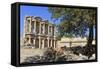 Facade of the Library of Celsus, Fruit Tree and Ancient Pipes, Ancient Ephesus-Eleanor Scriven-Framed Stretched Canvas