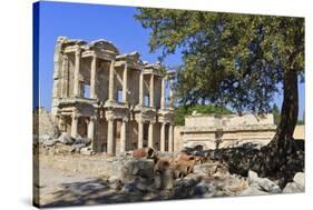 Facade of the Library of Celsus, Fruit Tree and Ancient Pipes, Ancient Ephesus-Eleanor Scriven-Stretched Canvas