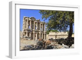 Facade of the Library of Celsus, Fruit Tree and Ancient Pipes, Ancient Ephesus-Eleanor Scriven-Framed Photographic Print