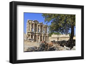 Facade of the Library of Celsus, Fruit Tree and Ancient Pipes, Ancient Ephesus-Eleanor Scriven-Framed Premium Photographic Print