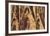 Facade of the Nativity, Sagrada Familia, by architect Antonio Gaudi, UNESCO World Heritage Site, Ba-Markus Lange-Framed Photographic Print