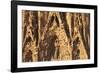 Facade of the Nativity, Sagrada Familia, by architect Antonio Gaudi, UNESCO World Heritage Site, Ba-Markus Lange-Framed Photographic Print