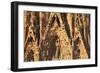 Facade of the Nativity, Sagrada Familia, by architect Antonio Gaudi, UNESCO World Heritage Site, Ba-Markus Lange-Framed Photographic Print