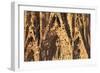 Facade of the Nativity, Sagrada Familia, by architect Antonio Gaudi, UNESCO World Heritage Site, Ba-Markus Lange-Framed Photographic Print