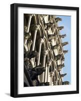 Facade with False Gargoyles, Eglise Notre-Dame, Dijon, Burgundy, France-Adam Woolfitt-Framed Photographic Print