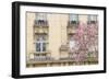 Facade With Magnolia-Cora Niele-Framed Giclee Print