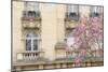 Facade With Magnolia-Cora Niele-Mounted Giclee Print