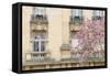 Facade With Magnolia-Cora Niele-Framed Stretched Canvas