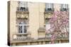 Facade With Magnolia-Cora Niele-Stretched Canvas