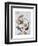 Face 5-Enrico Varrasso-Framed Art Print