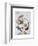 Face 5-Enrico Varrasso-Framed Art Print