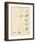 Face Chart-Wild Apple Portfolio-Framed Art Print