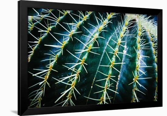 Face Of A Barrel Cactus-Anthony Paladino-Framed Premium Giclee Print