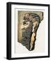 Face of an Assyrian Man Reproduced on a Stone. Assyrian Carved and Painted Stone Head. Colour Repro-null-Framed Giclee Print