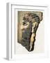 Face of an Assyrian Man Reproduced on a Stone. Assyrian Carved and Painted Stone Head. Colour Repro-null-Framed Giclee Print