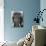 Face of an Elephant-null-Photographic Print displayed on a wall