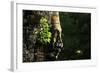 Face of Bayon-Steffen Hoppe-Framed Photographic Print