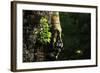 Face of Bayon-Steffen Hoppe-Framed Photographic Print