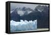 Face of Glaciar Grey (Grey Glacier) on Lago De Grey-Tony-Framed Stretched Canvas