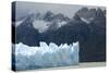 Face of Glaciar Grey (Grey Glacier) on Lago De Grey-Tony-Stretched Canvas
