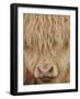 Face of Highland Catle, Scotland, UK-Niall Benvie-Framed Photographic Print