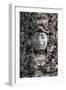 Face of King Uaxaclajuun Ub'Aah K'Awiil-null-Framed Giclee Print