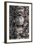 Face of King Uaxaclajuun Ub'Aah K'Awiil-null-Framed Giclee Print