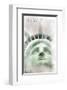 Face Of Liberty-null-Framed Art Print