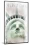 Face Of Liberty-null-Mounted Art Print
