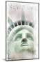 Face Of Liberty-null-Mounted Art Print