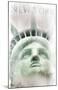 Face Of Liberty-null-Mounted Art Print