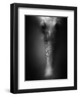 Face of Seahorse-Henry Horenstein-Framed Photographic Print