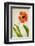 Face of Spring-Judy Stalus-Framed Art Print